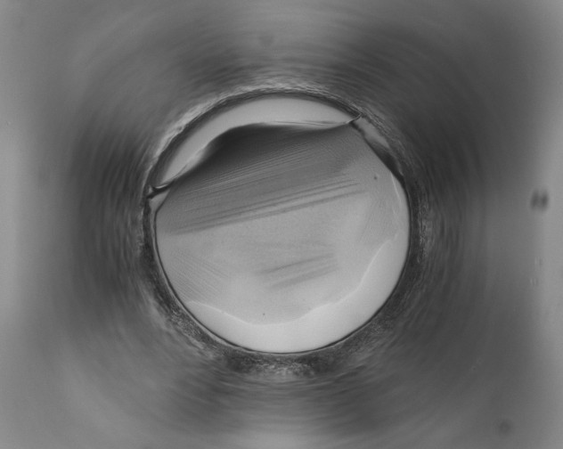 X0000111030488200907231624