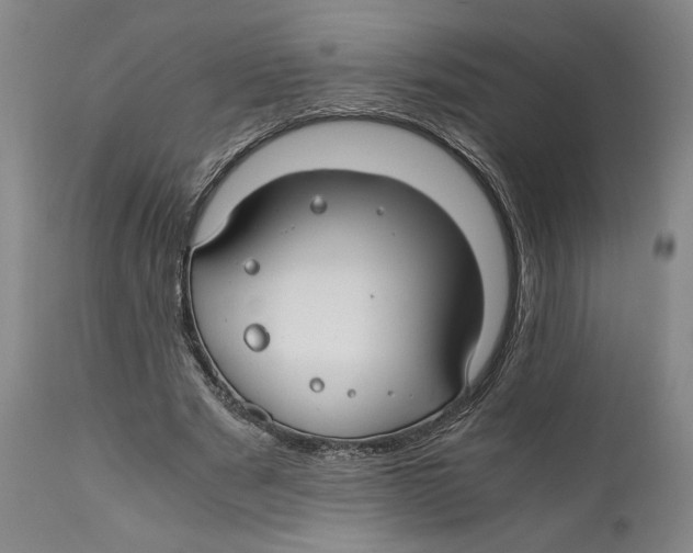 X0000111030489200907231624