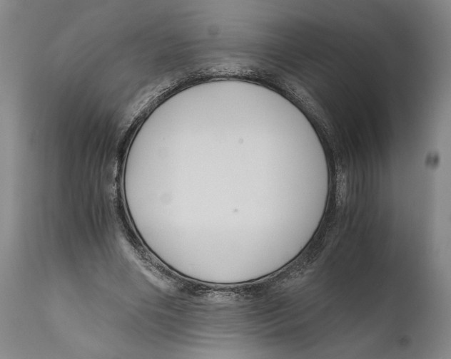 X0000111030490200907231624