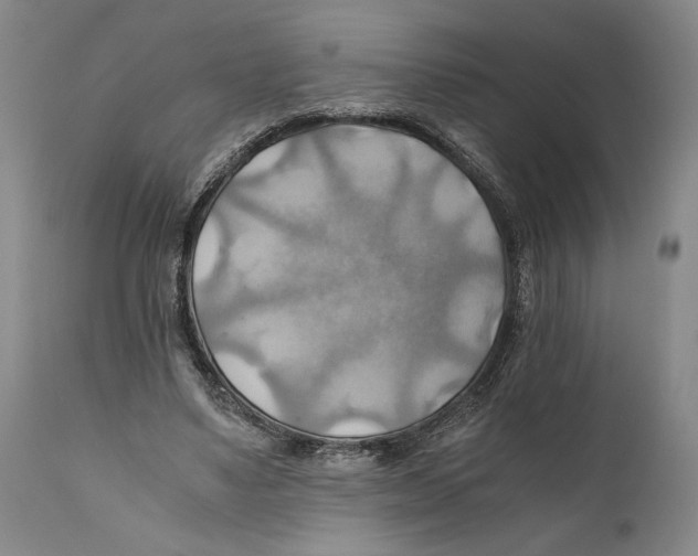 X0000111030491200907231624