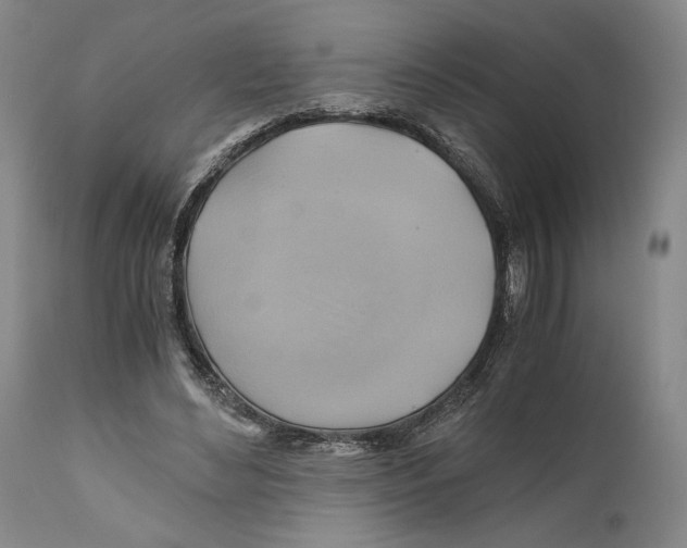 X0000111030492200907231624