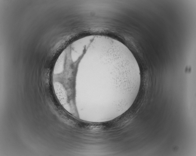 X0000111030495200907231624