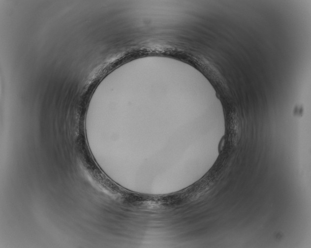 X0000111030496200907231624