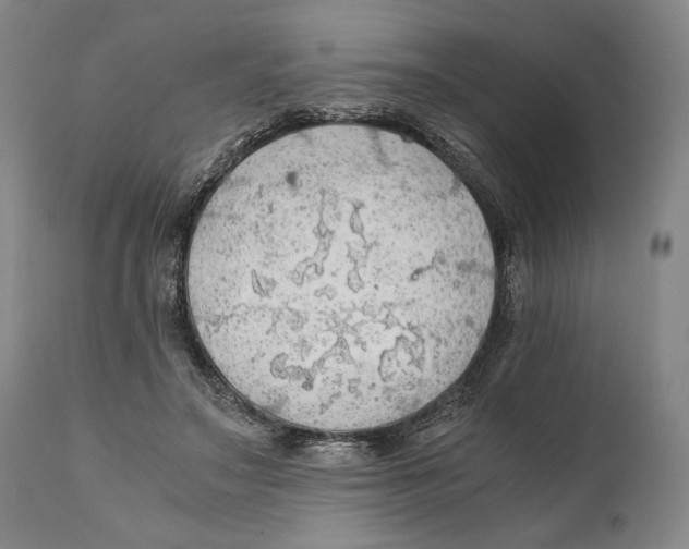 X0000111030499200907231624