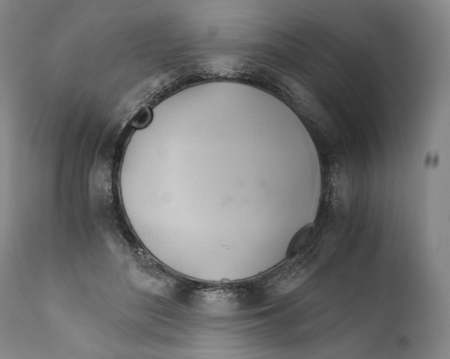 X0000111030500200907231624