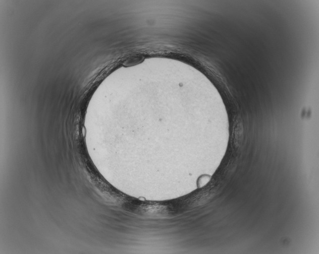 X0000111030501200907231624