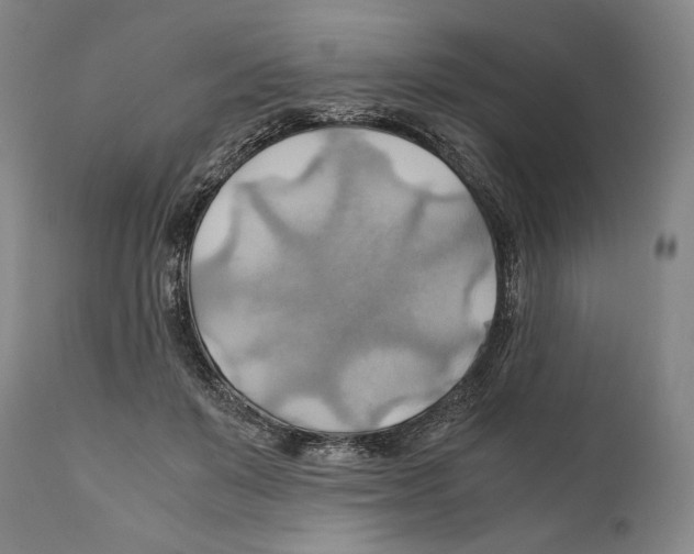 X0000111030503200907231624