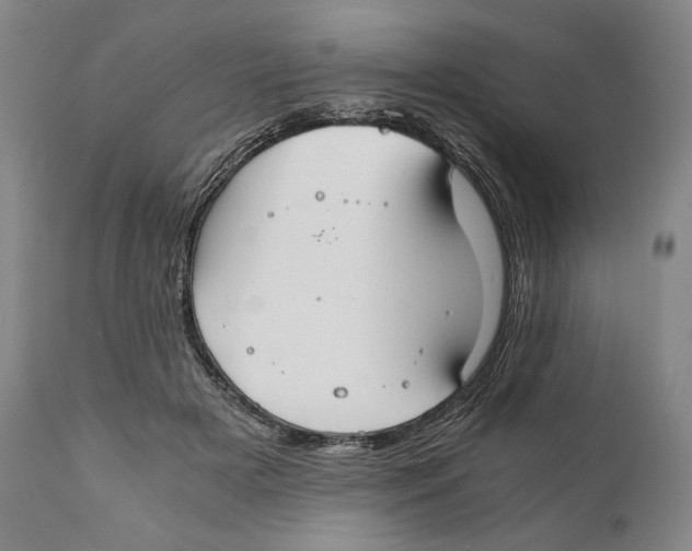 X0000111030505200907231624