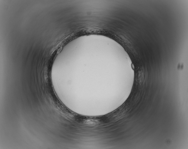 X0000111030508200907231624