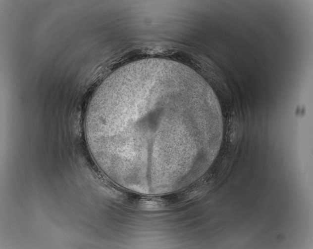 X0000111030510200907231624