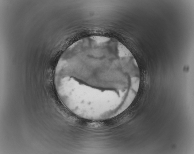 X0000111030511200907231624