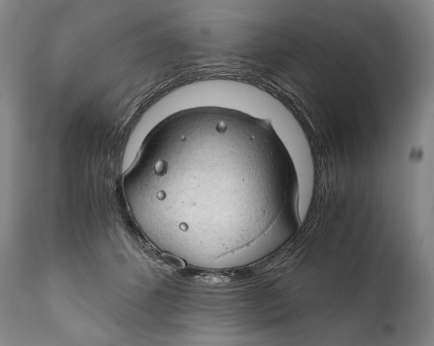 X0000111030512200907231624