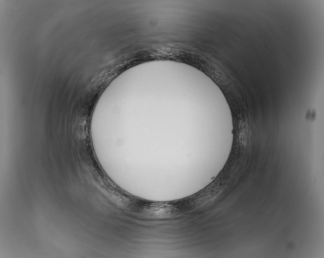 X0000111030514200907231624