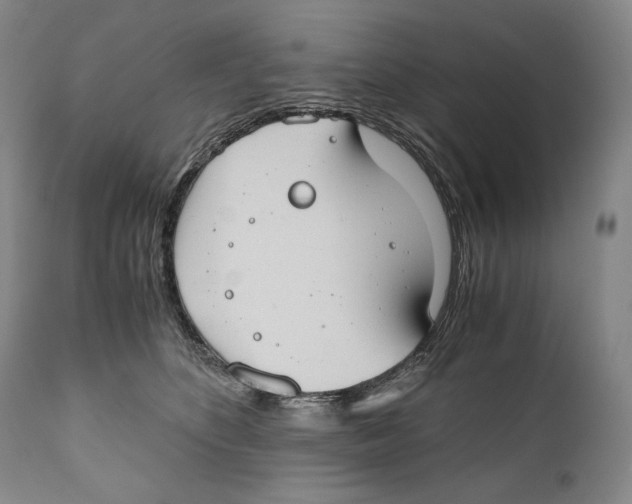 X0000111030516200907231624