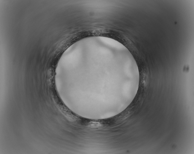 X0000111030519200907231624