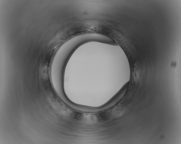 X0000111030520200907231624