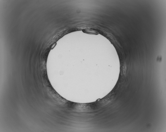 X0000111030521200907231624