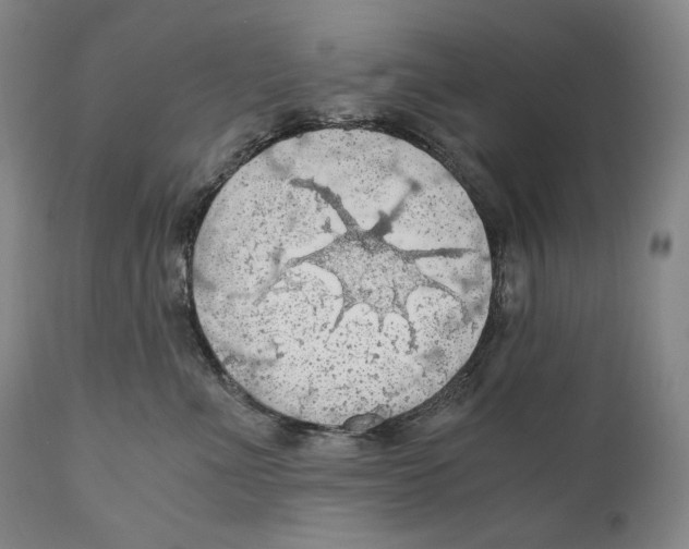 X0000111030523200907231624