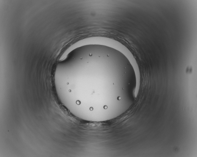 X0000111030524200907231624