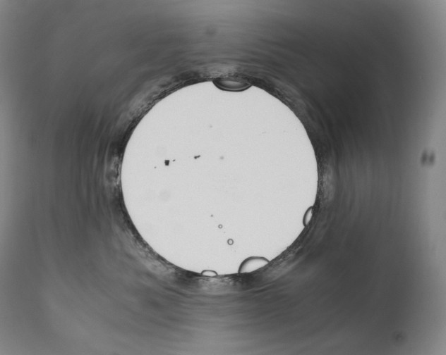 X0000111030525200907231624