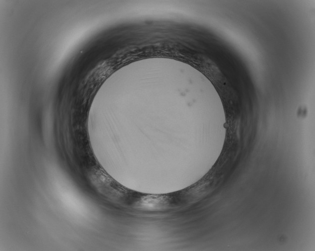 X0000111030526200907231624