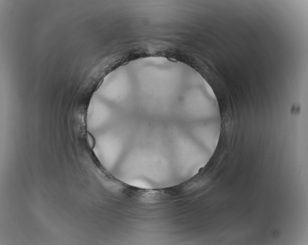 X0000111030527200907231624