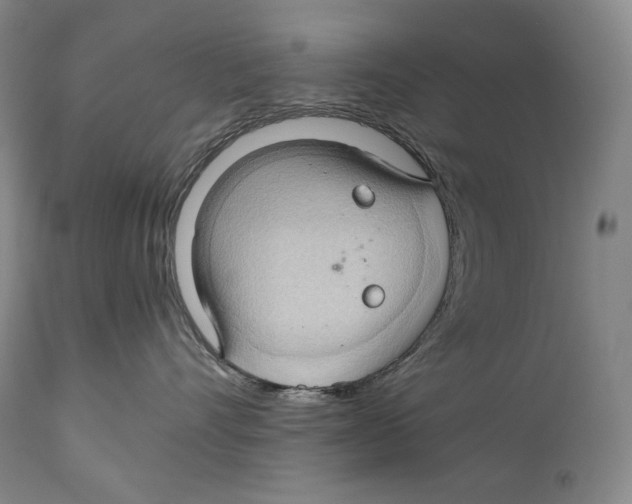 X0000111030528200907231624