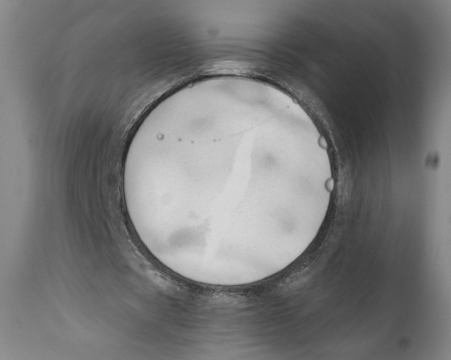 X0000111030529200907231623