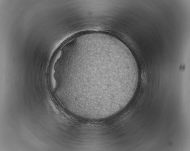 X0000111030532200907231623