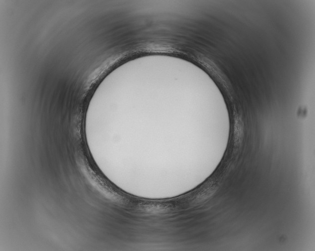 X0000111030533200907231623