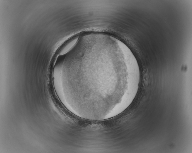 X0000111030536200907231623