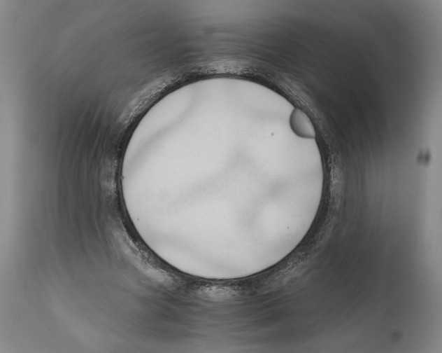 X0000111030537200907231623