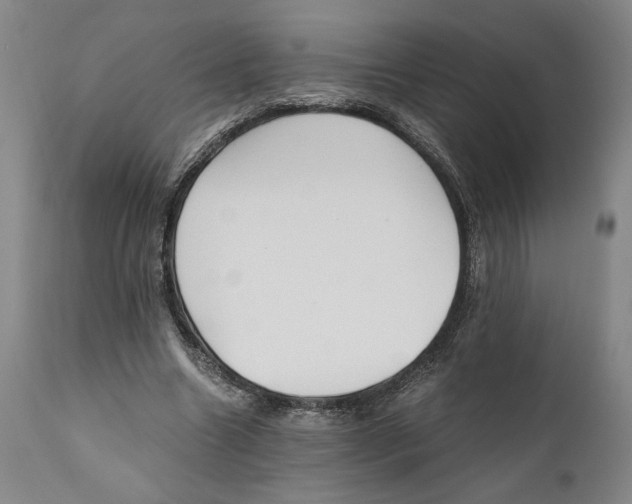 X0000111030538200907231623