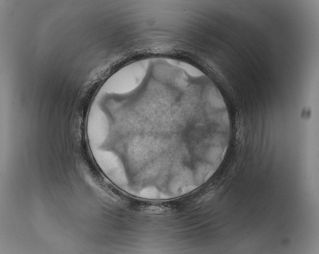 X0000111030542200907231623