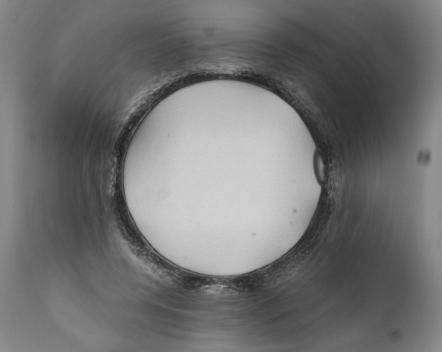 X0000111030544200907231623