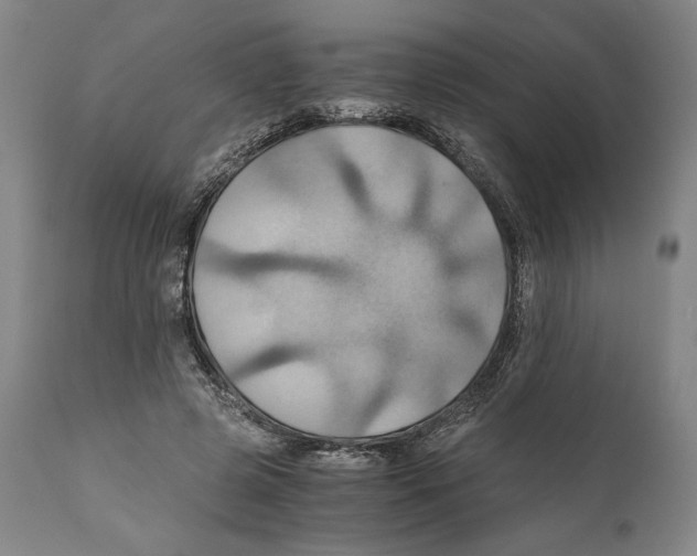 X0000111030545200907231623