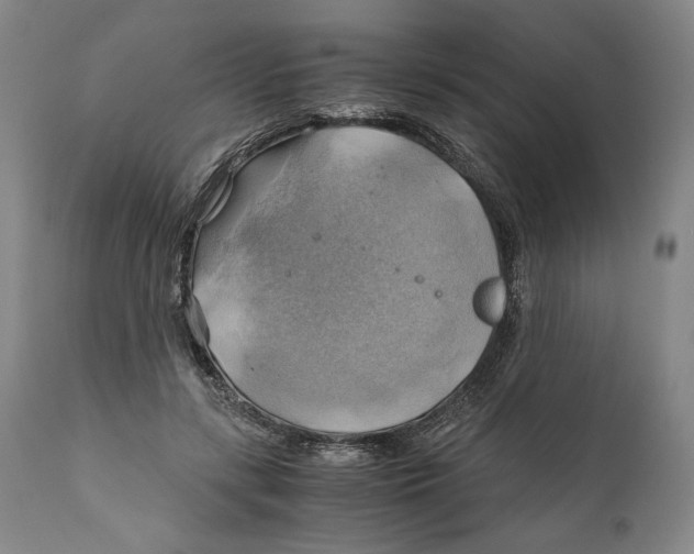 X0000111030547200907231623