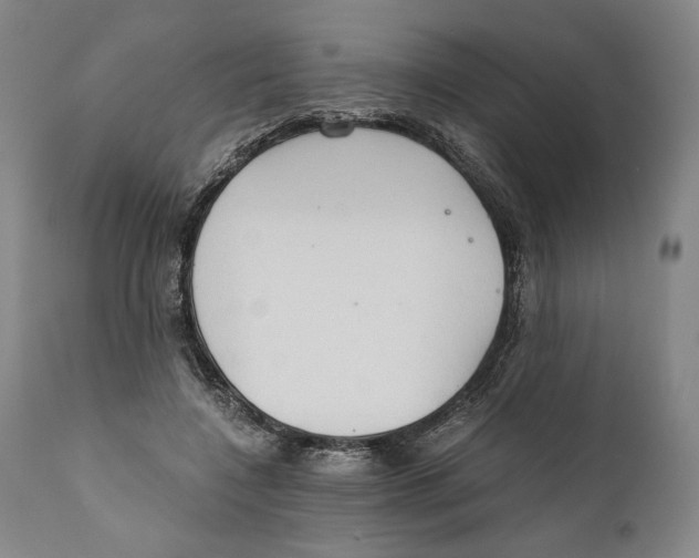 X0000111030548200907231623