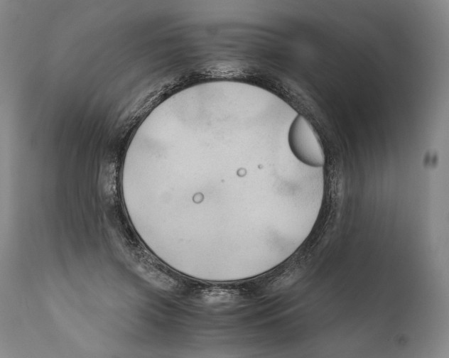 X0000111030549200907231623