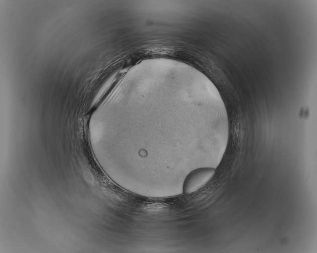 X0000111030551200907231623