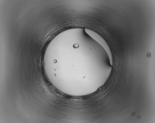 X0000111030552200907231623