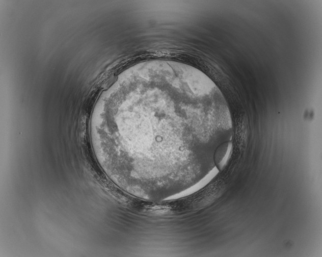 X0000111030554200907231623