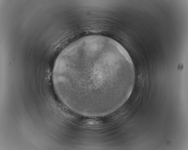 X0000111030555200907231623