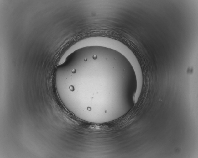 X0000111030558200907231623