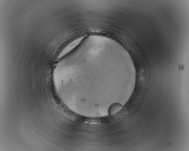 X0000111030559200907231623