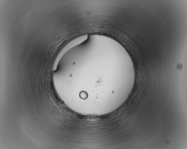 X0000111030560200907231623