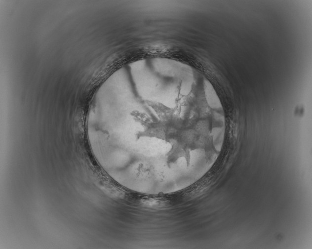 X0000111030561200907231623