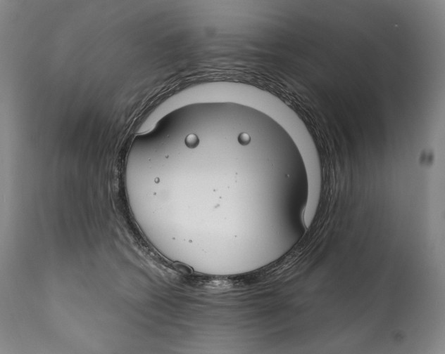 X0000111030562200907231623