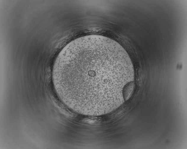 X0000111030563200907231623