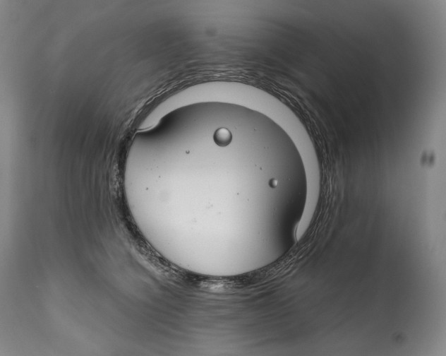 X0000111030564200907231623